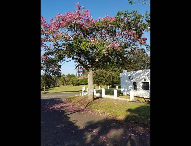 4 BEDROOM HOUSE FOR SALE IN FELIXTON